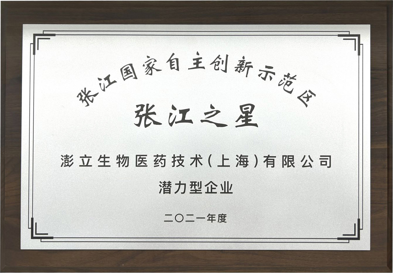 张江之星