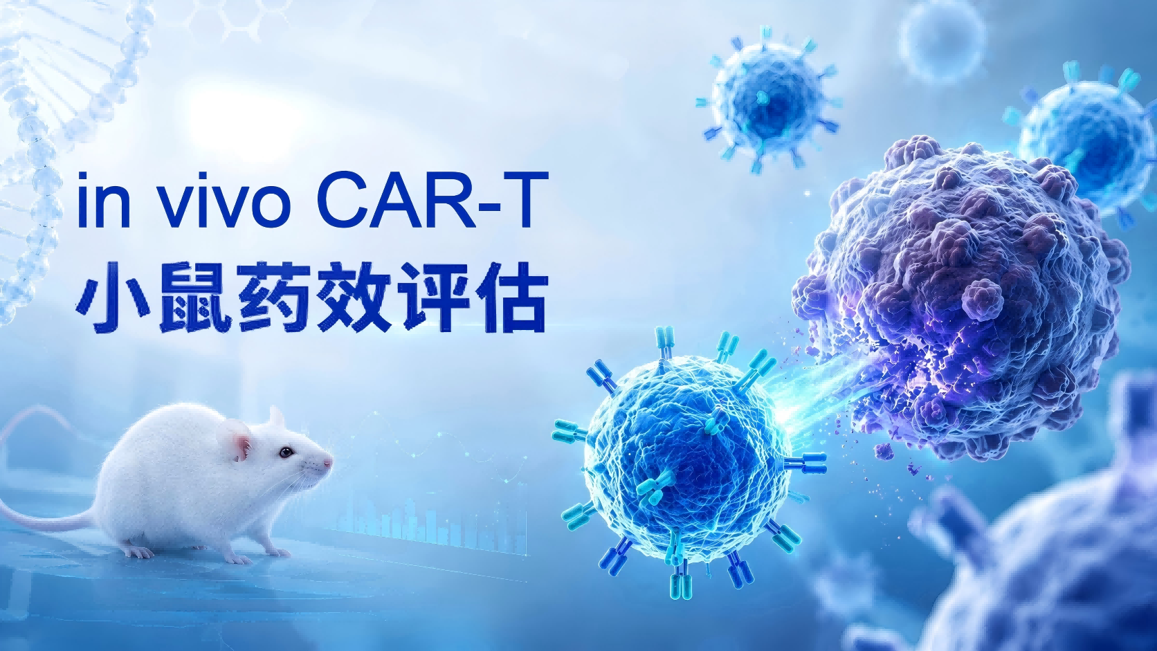 in vivo CAR-T 小鼠药效评估，助力细胞治疗研发加速