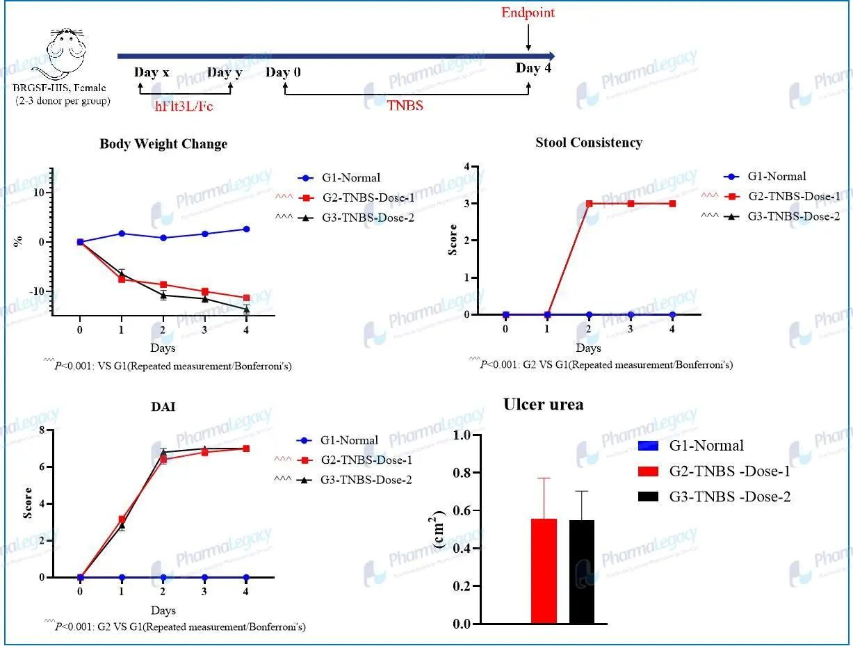 人源化小鼠模型助力 IBD 研究与药物开发