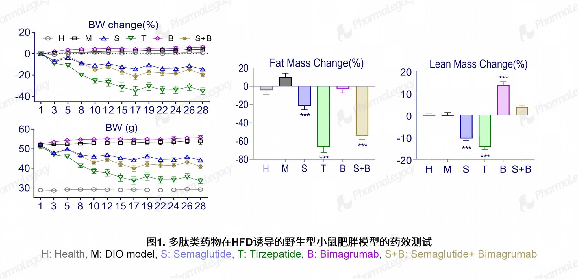 新建 PPTX 演示文稿_02.jpg