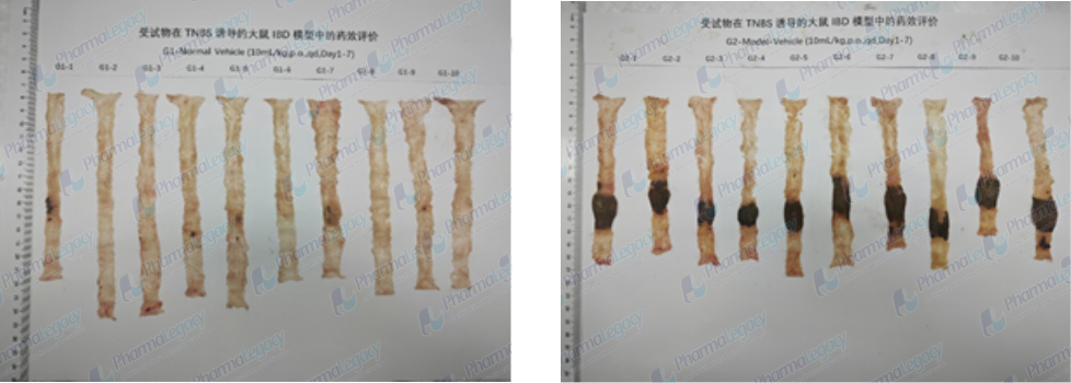 a01197ea23bbb4eb9b27c395ab14094a66ea66675fa24.png