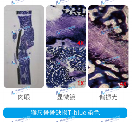 f6efff79e2a3cbd97ddc346260c3636.png