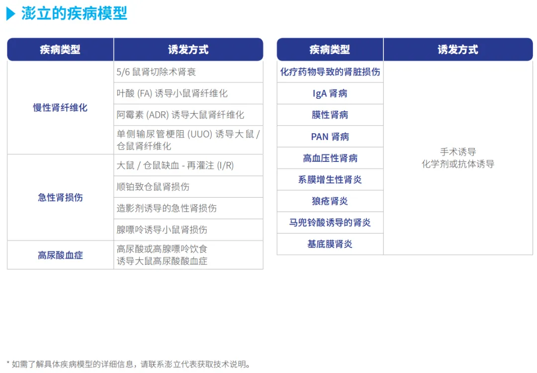 640 (26).webp