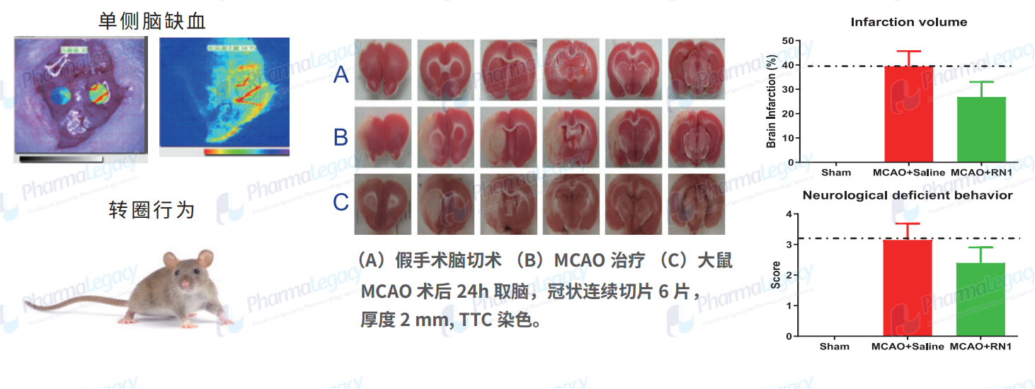441cc59a5f41a4cf53108dc0563a7ff4665048806572d.png
